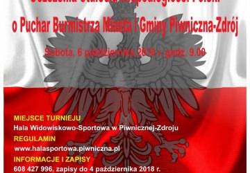 TURNIEJ PIŁKI SIATKOWEJ DOROSŁYCH   O PUCHAR BURMISTRZA MIASTA I GMINY PIWNICZNEJ – ZDRÓJ  Z OKAZJI UCZCZENIA STULECIA NIEPODLEGŁOŚCI POLSKI