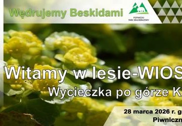 Wycieczka po górze Kicarz