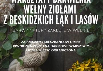 Warsztaty barwienia wełny - 3.10